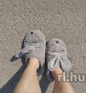 J�szber�ny, Alexa 06209398631