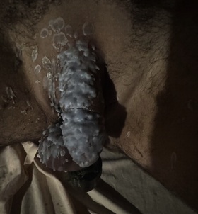 AlexaQeen (29+ éves) - Telefon: +36 20 / 503-8193 - Keszthely