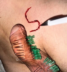 AlexaQeen (29+ éves) - Telefon: +36 20 / 503-8193 - Keszthely