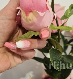 Zalaegerszeg, Aliza 06705970916