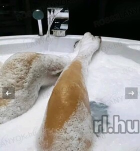 Amanda (27+ éves) - Telefon: +36 30 / 120-8476 - Baja