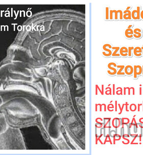 Ny�regyh�za, Amira 06702296022