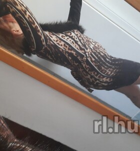 Ani 703162179, Budapest Escort #2 - 