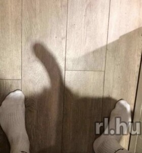 Szeged, Aur�l 06306705657