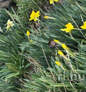 Bea Budapest masszázs lányok