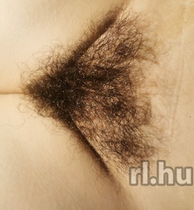 Budapest, Bogi-a-RETROCSAJ 06705318213