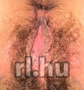 Budapest, Bogi-a-RETROCSAJ 06705318213