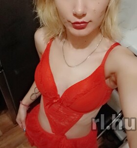 Ny�rb�tor, Bogika07 06307464339