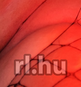 Boglárka (30 éves) - Telefon: +36 30 / 637-2879 - Miskolc