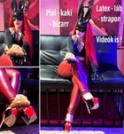 Szeged, Bunny 06707259056