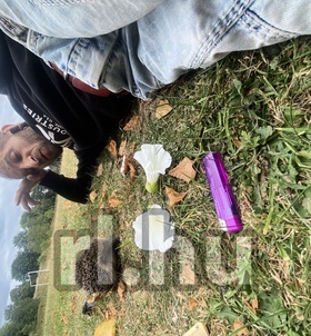 P�cs, BznK�in 06204503257