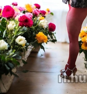 Corina (39 éves, Nő) - Telefon: +36 20 / 546-5468 - Budapest, III. Bécsi út, szexpartner