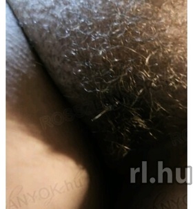 Budapest, Detty40 06205455976