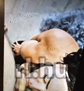 Vecs�s, DeuceBigalowEuropeanGigolo 06707545812