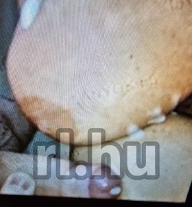 Vecs�s, DeuceBigalowEuropeanGigolo 06707545812 - Felt�ltve: 2025-08-15