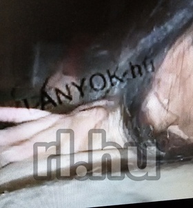 Vecs�s, DeuceBigalowEuropeanGigolo 06707545812