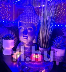 Sz�kesfeh�rv�r, Dzsenifer_Lingam_Massz�z_ 06703954348