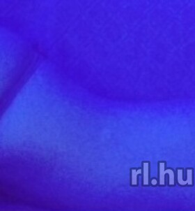 Budapest, Elinor 06301943053