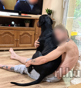 Elvis (38 éves) - Telefon: +36 70 / 788-8815 - Debrecen