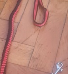 Epril (45+ éves) - Telefon: +36 20 / 551-4148 - Budapest, XI