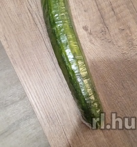 Szeged, Gabi50 06305186403