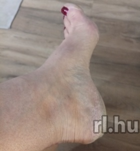 Szeged, GabiWebcam 06204523012