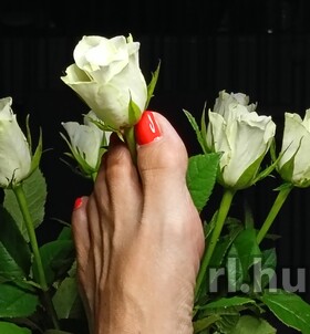 Budapest, Gr�ta 06204121367