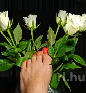 Budapest, Gr�ta 06204121367