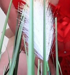 Hajni (43 éves) - Telefon: +36 30 / 630-8218 - Dunaföldvár