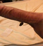 Debrecen, Handsomeboys_VIP 06204782968