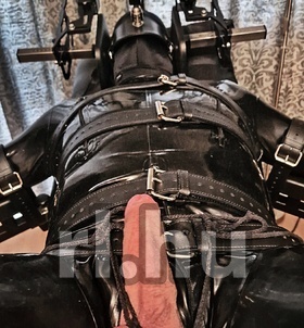 Szkesfehrvr, HannaBDSM 06202209422