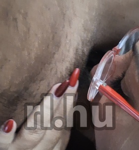 Budapest, Hzaspr 06304581825