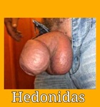 Hedonidas 205153926, Budapest Junge