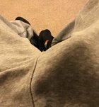 Hunor (20+ éves) - Telefon: +36 30 / 559-8212 - Székesfehérvár