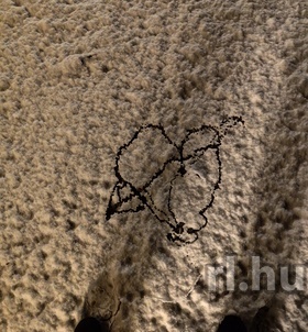 Isti (39+ éves) - Telefon: +36 20 / 214-9316 - Budapest