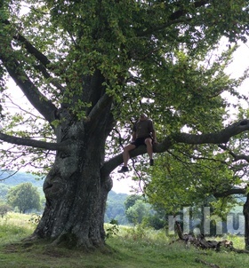 Nagykanizsa, Istv�n 06301845640