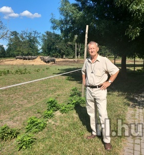 Miskolc, Istv�nf�rfi 06707886152