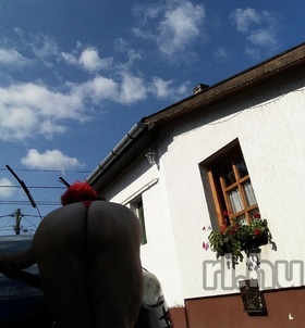 Jázmin (62 éves) - Telefon: +36 30 / 950-7600 - Győr