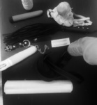 Jessi28 (28 éves) - Telefon: +36 30 / 476-5312 - Győr