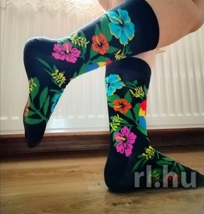 Szeged, Kata 06208041920