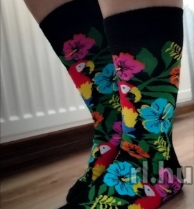 Szeged, Kata 06208041920