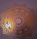 Gd, Kelly24 06704235444