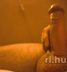 Kenyeztetőfethisa (40+ éves) - Telefon: +36 70 / 358-7859 - Győr