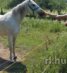 Budapest, Kitty69 06302231885