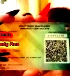 Szeged, Lady_Black 06301725150