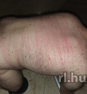 LadyFernanda (35 éves) - Telefon: +36 70 / 744-7374 - Budapest, XX