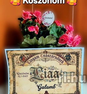 V�c, Liaa 06202368308