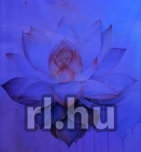 Budapest, Linamassz�zs 06304219680