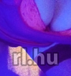 Budapest, Linor 06301943053