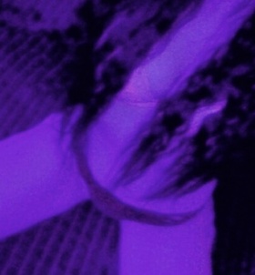 Budapest, Linor 06301943053